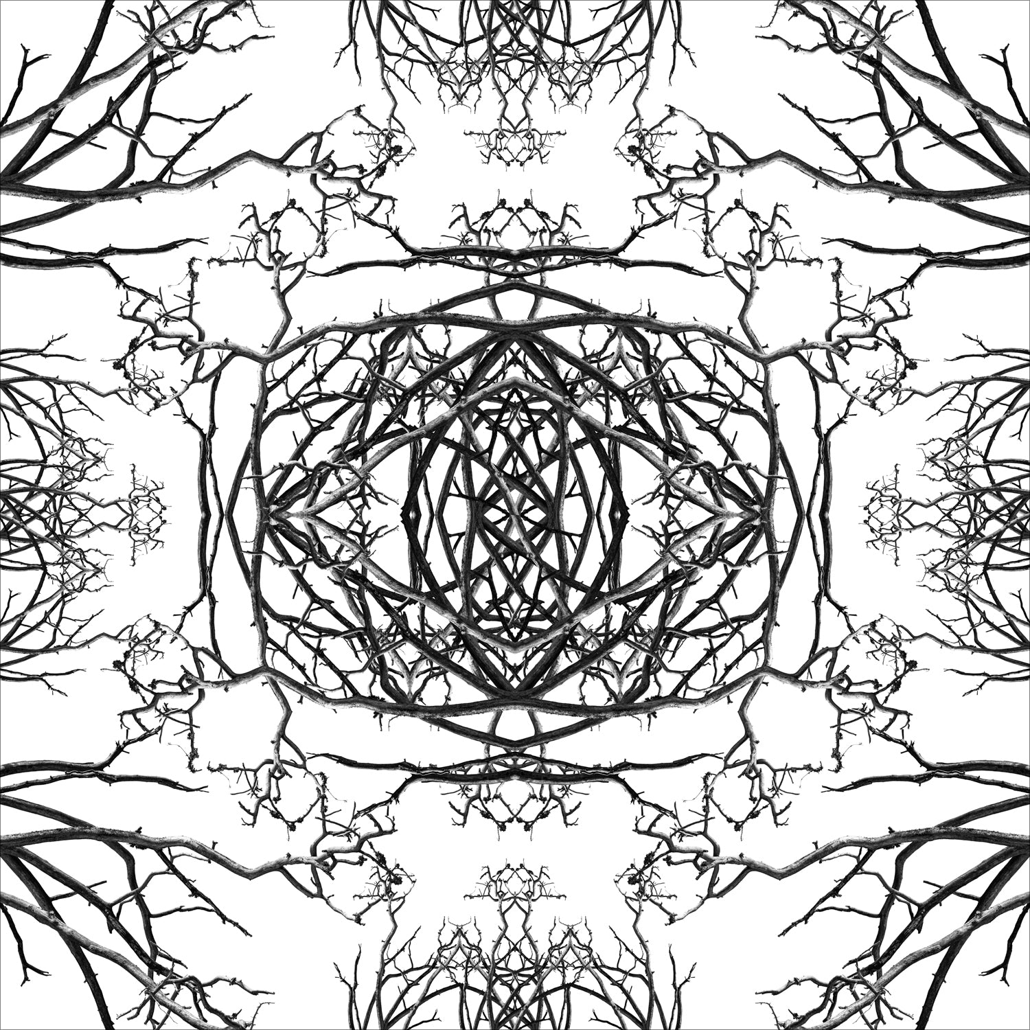 Stampa Fine Art con composizione simmetrica in bianco e nero di rami spogli intrecciati, disposti in forma kaleidoscopica su sfondo bianco