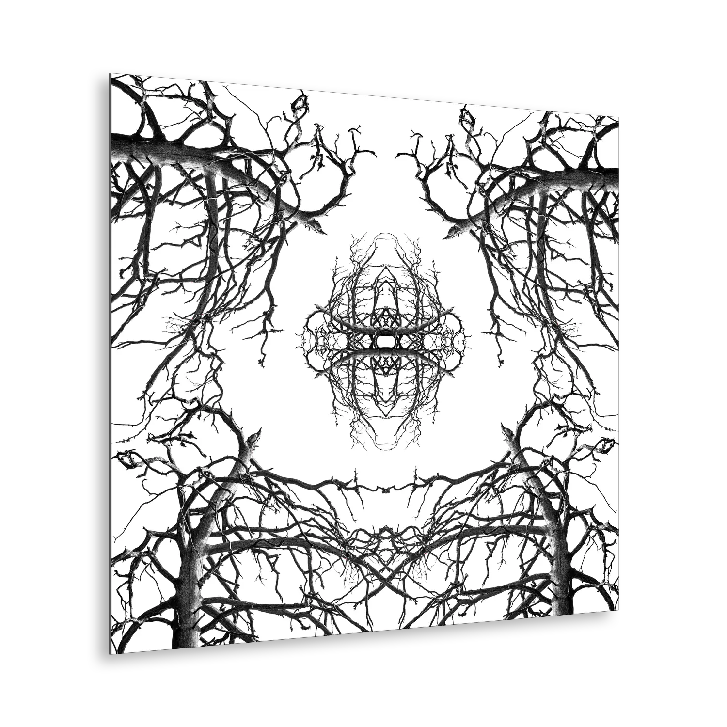 Stampa Fine Art con composizione simmetrica in bianco e nero di rami spogli intrecciati, disposti in forma kaleidoscopica su sfondo bianco