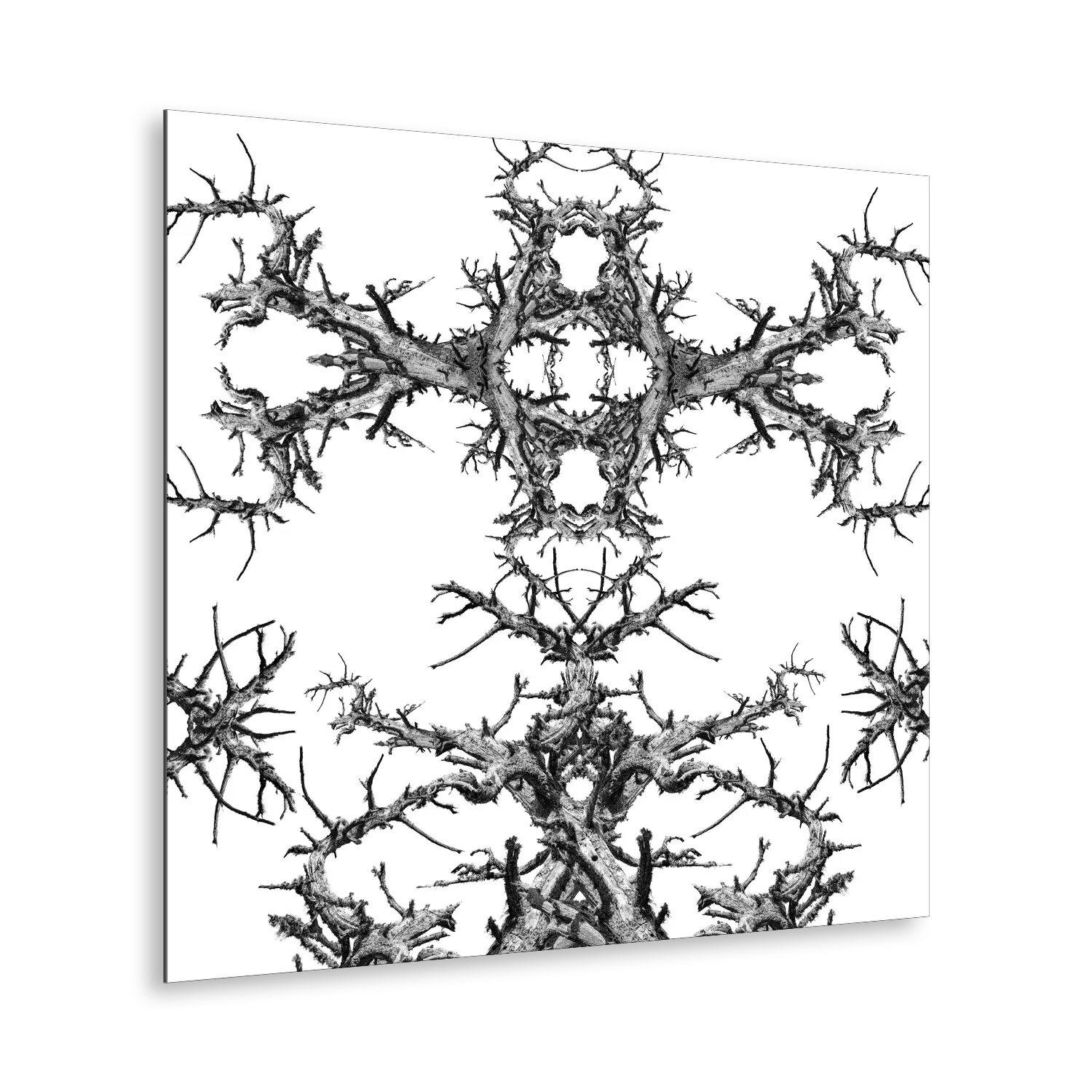 Stampa Fine Art con composizione simmetrica in bianco e nero di rami spogli intrecciati, disposti in forma kaleidoscopica su sfondo bianco