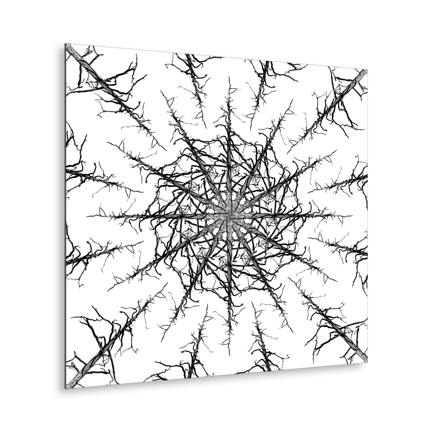Stampa Fine Art con composizione simmetrica in bianco e nero di rami spogli intrecciati, disposti in forma kaleidoscopica su sfondo bianco