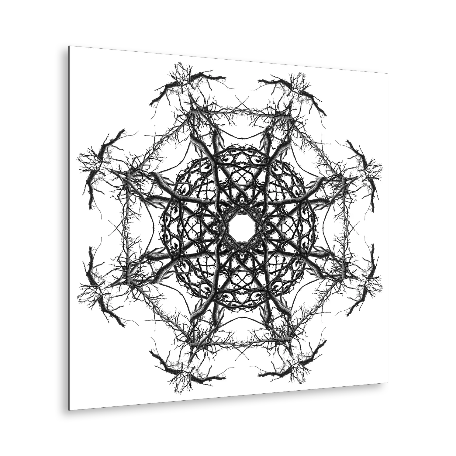 Stampa Fine Art con composizione simmetrica in bianco e nero di rami spogli intrecciati, disposti in forma kaleidoscopica su sfondo bianco