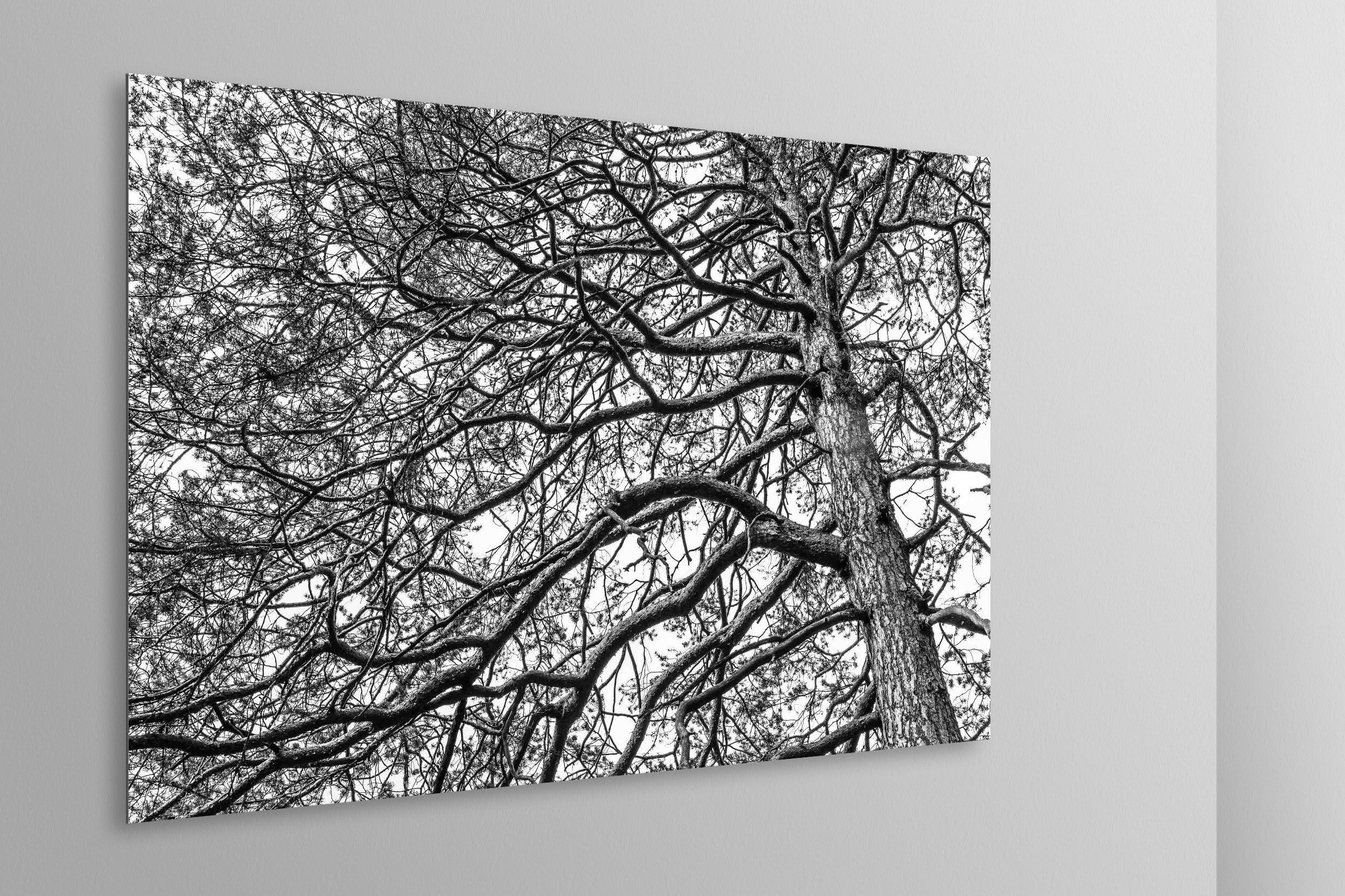 Simulazione di stampa fine art in bianco e nero di DOLOMITE LANDSCAPES montata su pannello dibond e appesa a parete con effetto sospeso