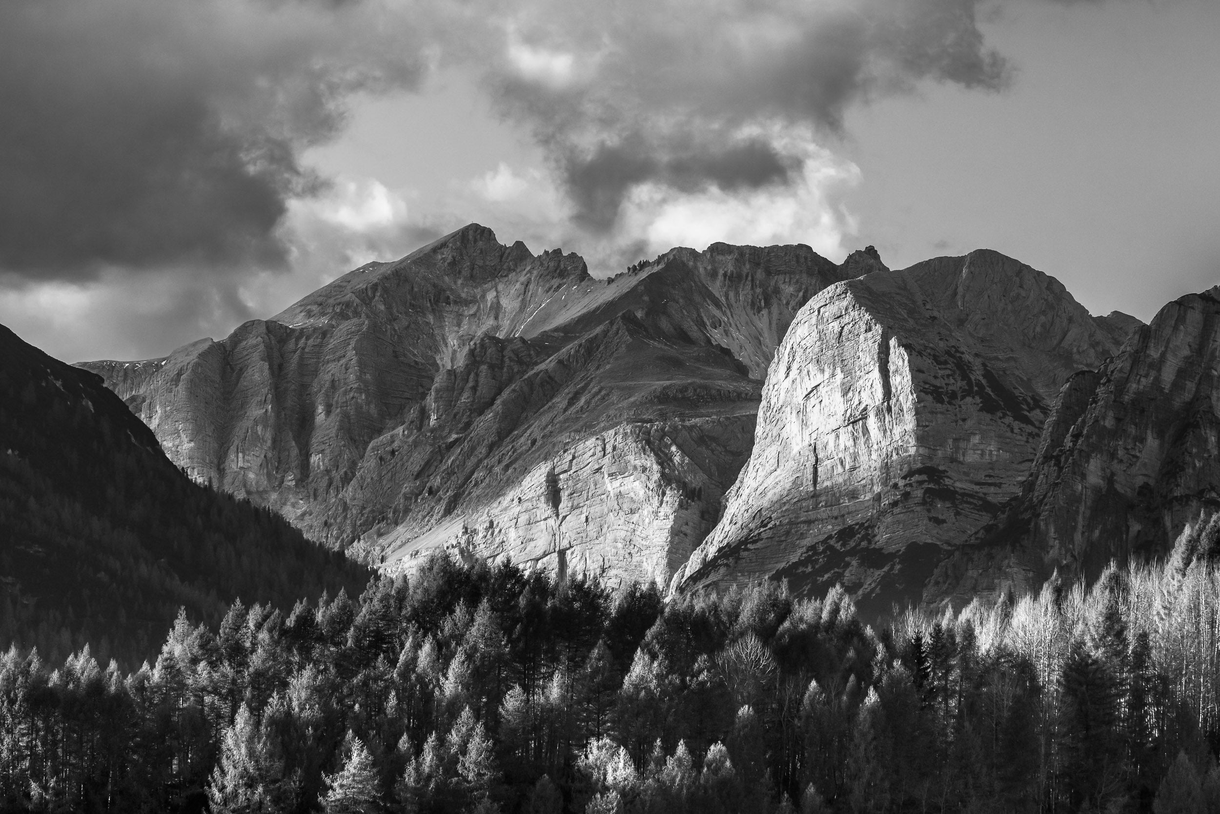 Fotografia in bianco e nero con bosco in primo piano e montagne sullo sfondo