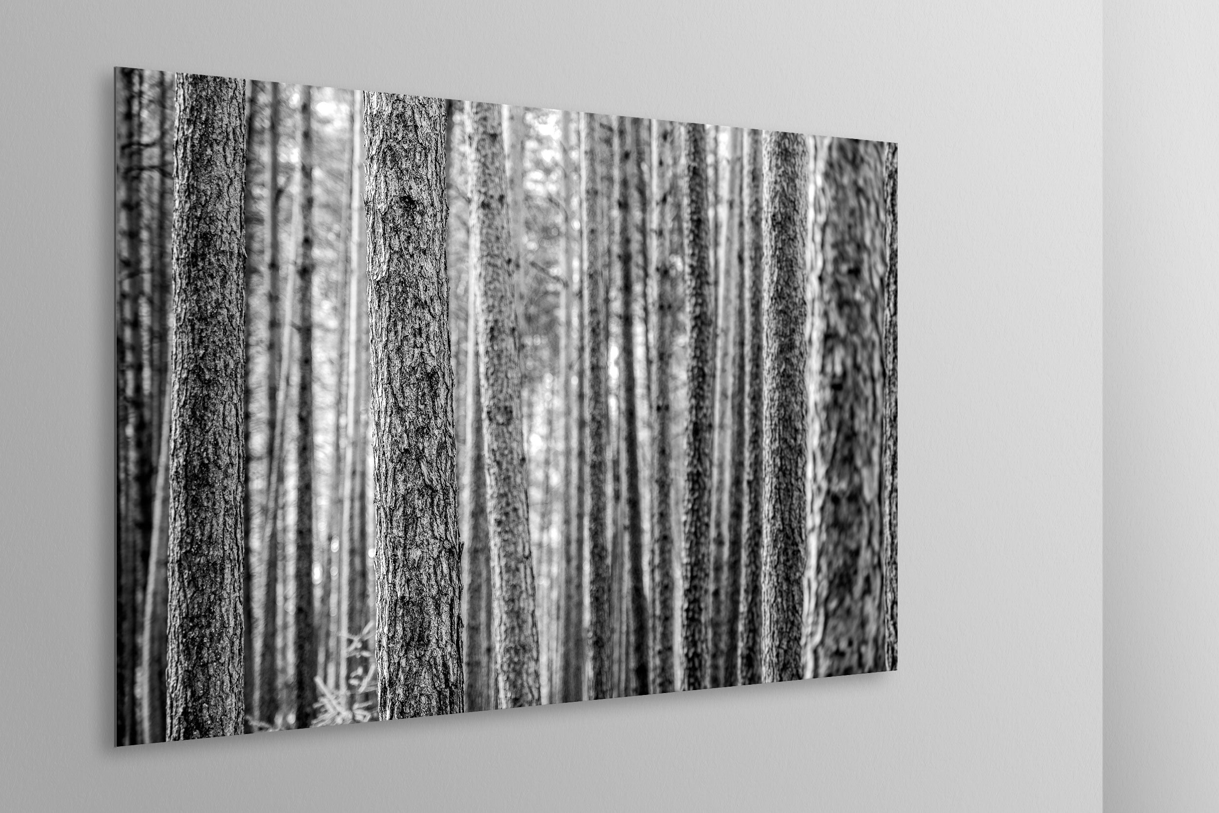 Simulazione di stampa fine art in bianco e nero di DOLOMITE LANDSCAPES montata su pannello dibond e appesa a parete con effetto sospeso
