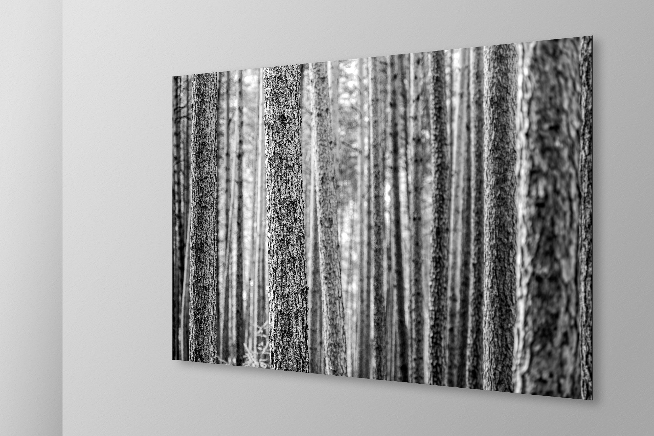 Simulazione di stampa fine art in bianco e nero di DOLOMITE LANDSCAPES montata su pannello dibond e appesa a parete con effetto sospeso
