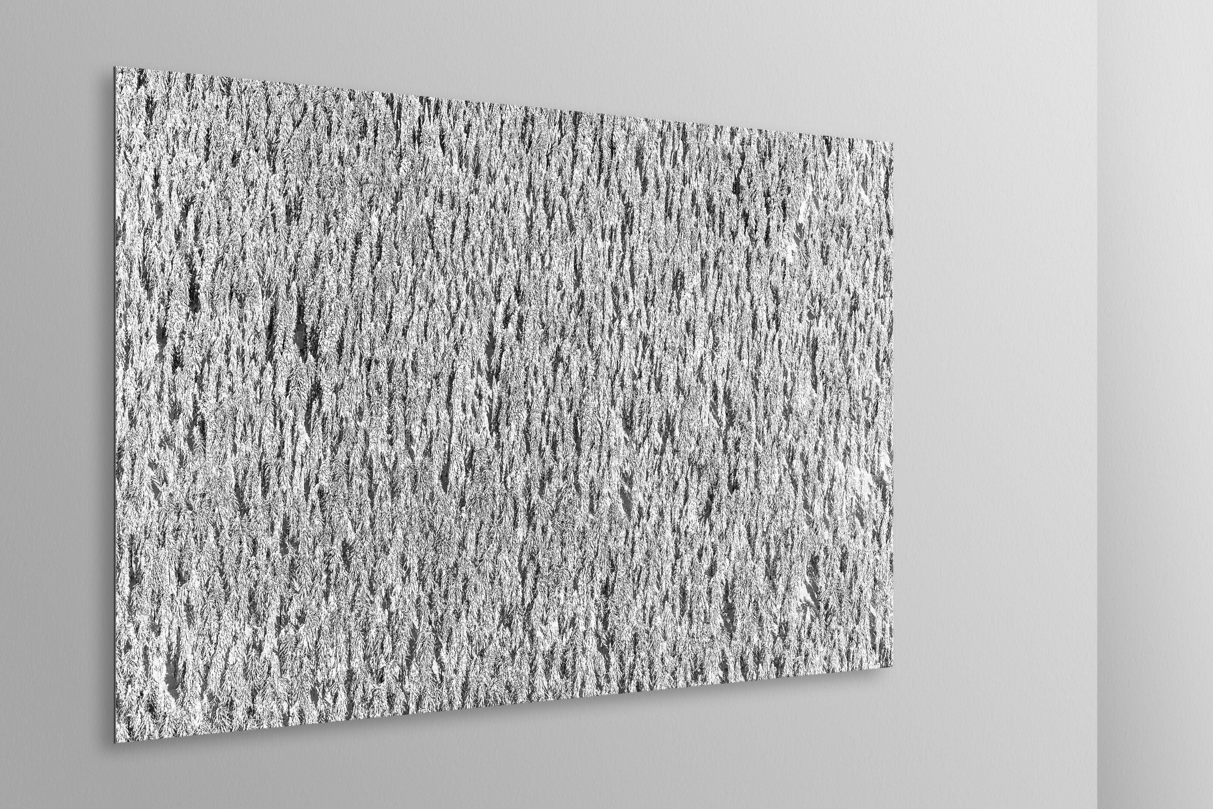 Simulazione di stampa fine art in bianco e nero di DOLOMITE LANDSCAPES montata su pannello dibond e appesa a parete con effetto sospeso