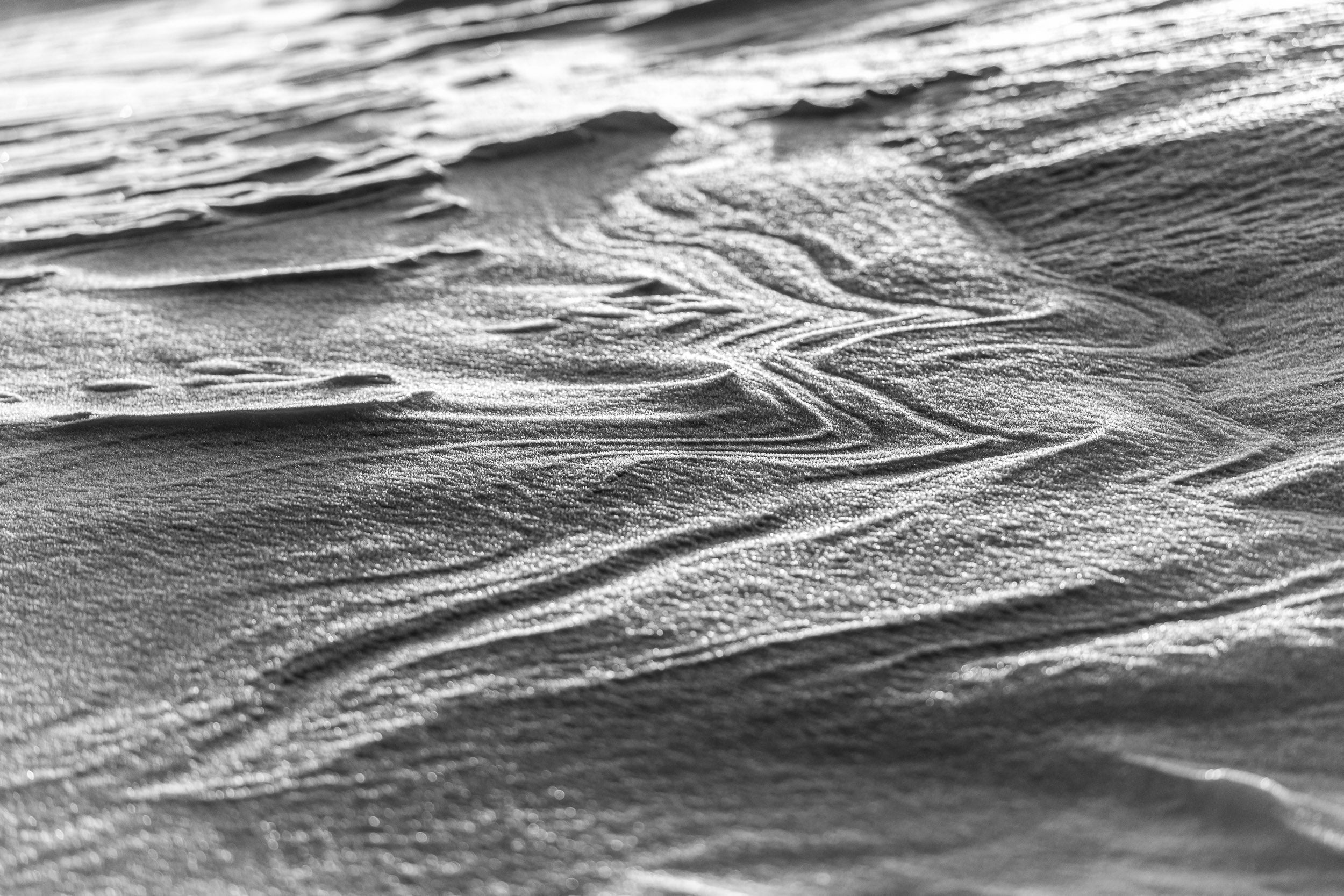 Fotografia in bianco e nero evidenzia la trama delle neve creata dal vento