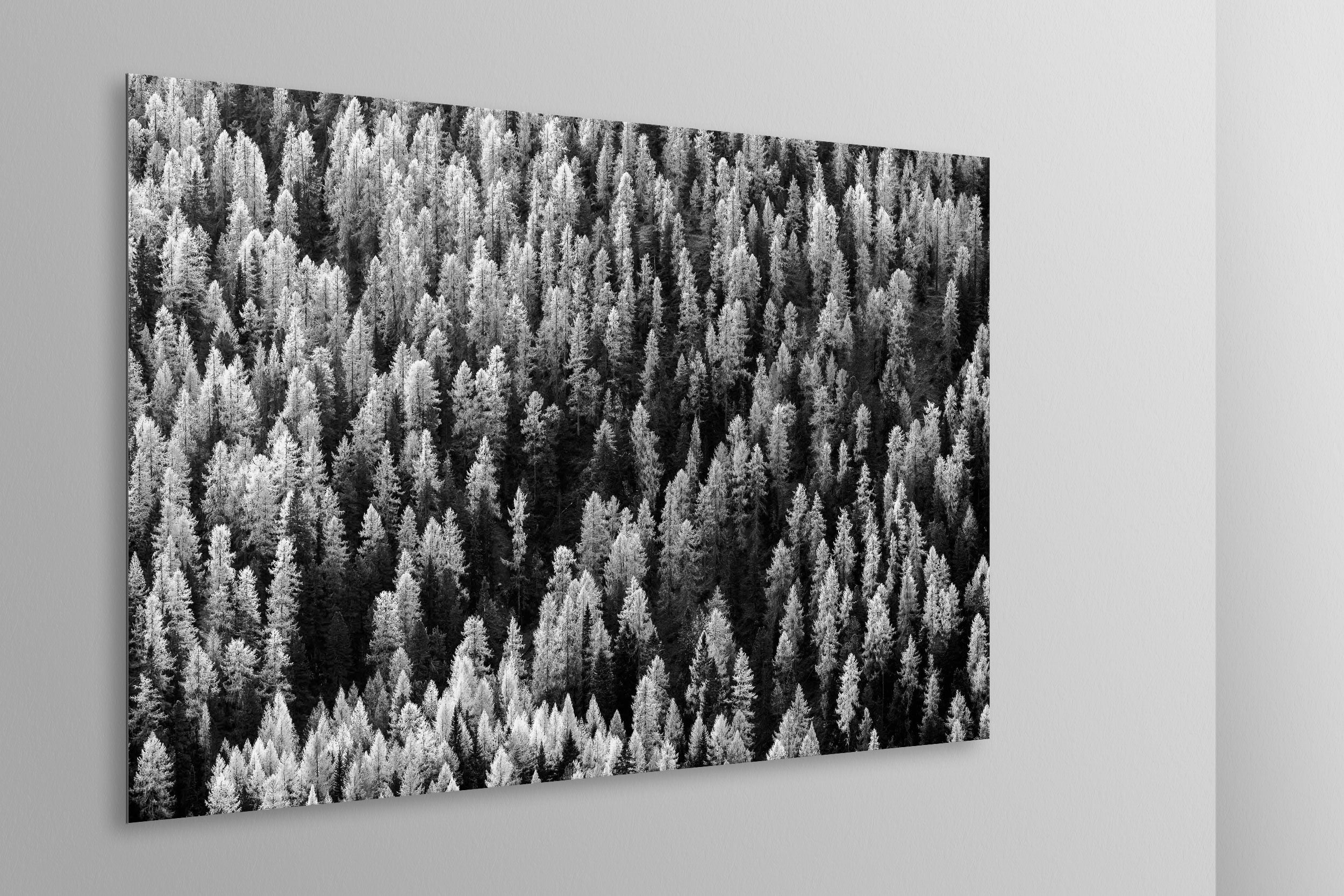 Simulazione di stampa fine art in bianco e nero di DOLOMITE LANDSCAPES montata su pannello dibond e appesa a parete con effetto sospeso